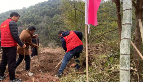 天台白鹤：退伍不褪色，植树添绿色