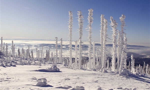 暴雪橙色预警！东北这次强降雪下到发紫：局地积雪可达25厘米